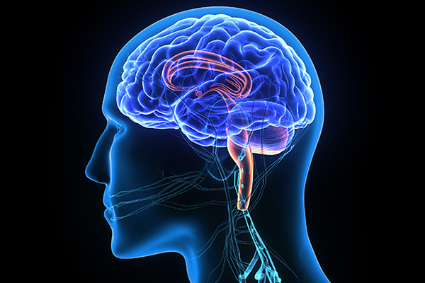 Neurology Treatment Center in Dombivli